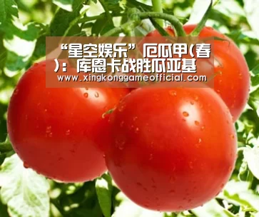“星空娱乐”厄瓜甲(春): 库恩卡战胜瓜亚基尔城 比分2:0(图2)